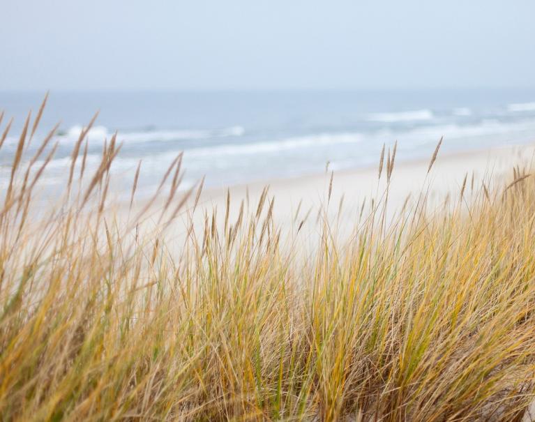 Scopri il Parco Naturale Regionale Dune Costiere