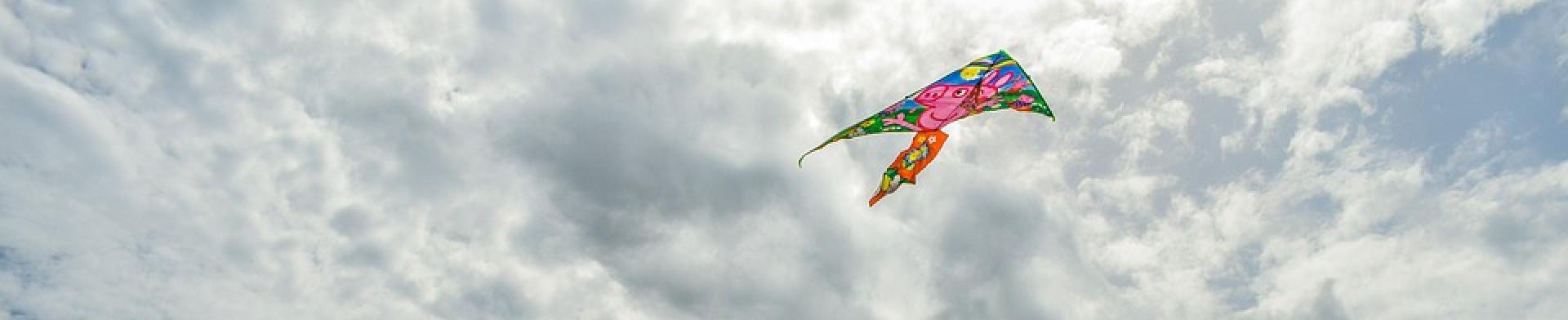 60th kite festival