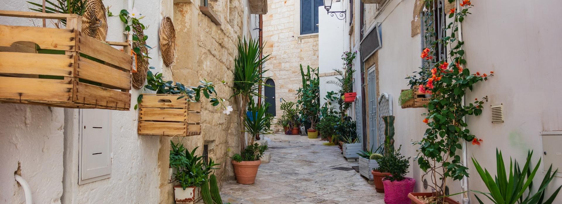 Stradina pittoresca con piante e fiori, architettura in pietra e atmosfera mediterranea.